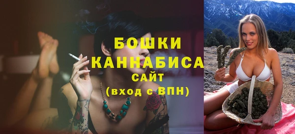 дживик Осташков