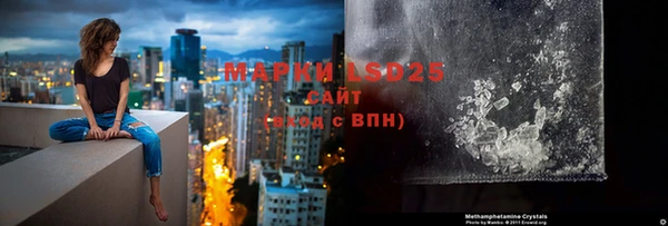 прущие грибы Осинники
