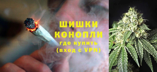 сатива Ивангород