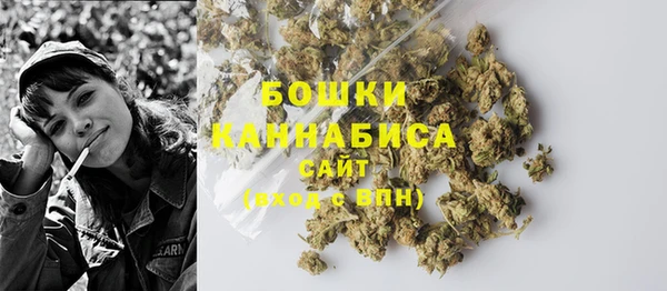 spice Няндома