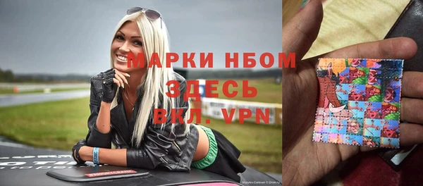 прущие грибы Осинники