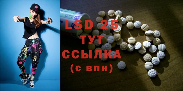 прущие грибы Осинники