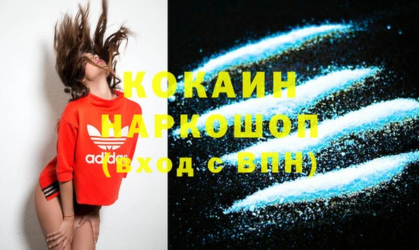 прущие грибы Осинники