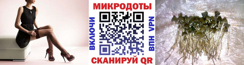 Галлюциногенные грибы мицелий  Кизляр 