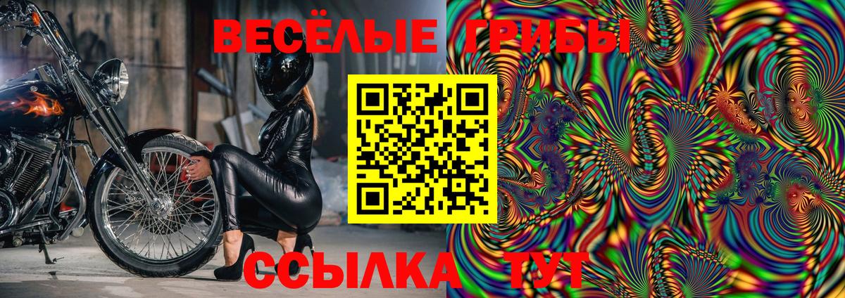 Кизляр  Вход с VPN  A PVP СК   Меф  МЕФ   ГАШИШ 