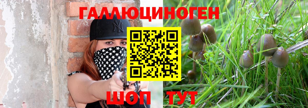 Галлюциногенные грибы Psilocybine cubensis  Вход с VPN  Кизляр 